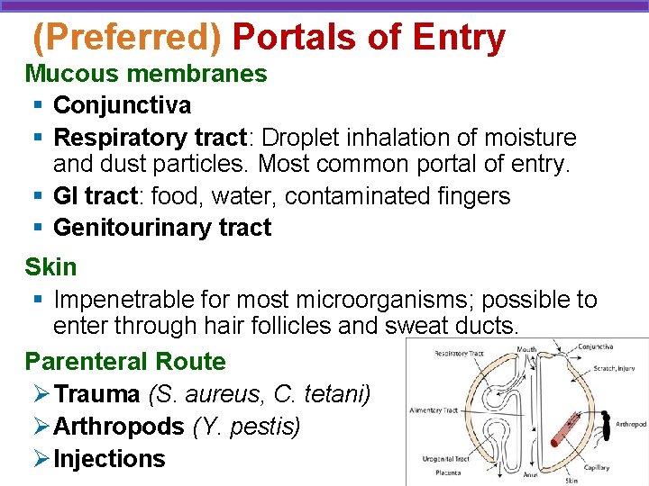 (Preferred) Portals of Entry Mucous membranes § Conjunctiva § Respiratory tract: Droplet inhalation of