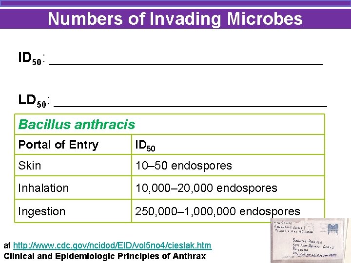 Numbers of Invading Microbes ID 50: __________________ LD 50: __________________ Bacillus anthracis Portal of