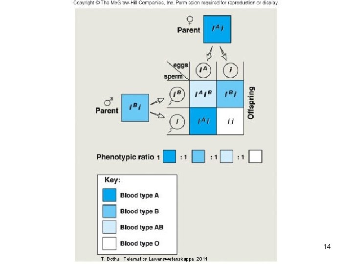 23 -14 14 T. Botha Telematics Lewenswetenskappe 2011 