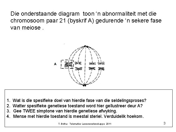 Die onderstaande diagram toon ‘n abnormaliteit met die chromosoom paar 21 (byskrif A) gedurende