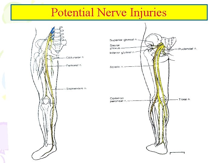 Potential Nerve Injuries 