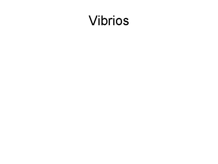 Vibrios 