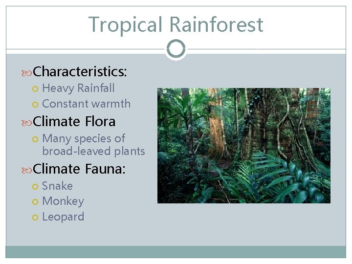 Tropical Rainforest Characteristics: Heavy Rainfall Constant warmth Climate Flora Many species of broad-leaved plants