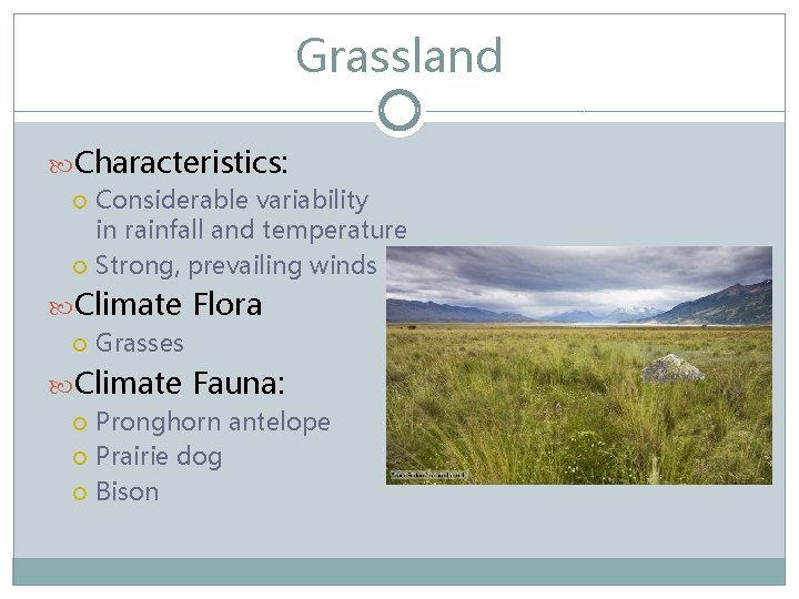 Grassland Characteristics: Considerable variability in rainfall and temperature Strong, prevailing winds Climate Flora Grasses