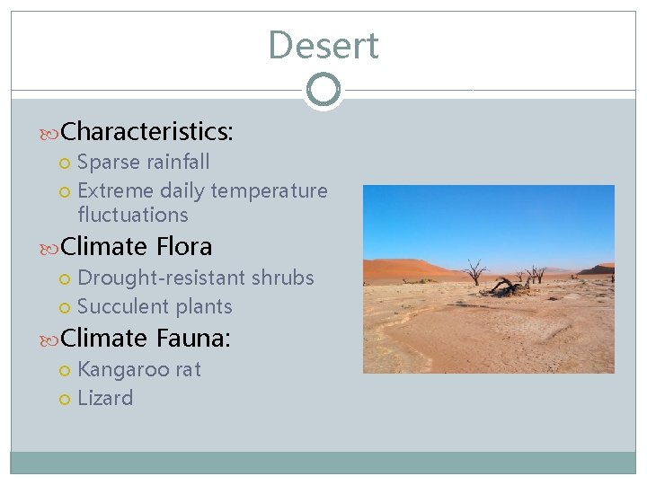 Desert Characteristics: Sparse rainfall Extreme daily temperature fluctuations Climate Flora Drought-resistant shrubs Succulent plants