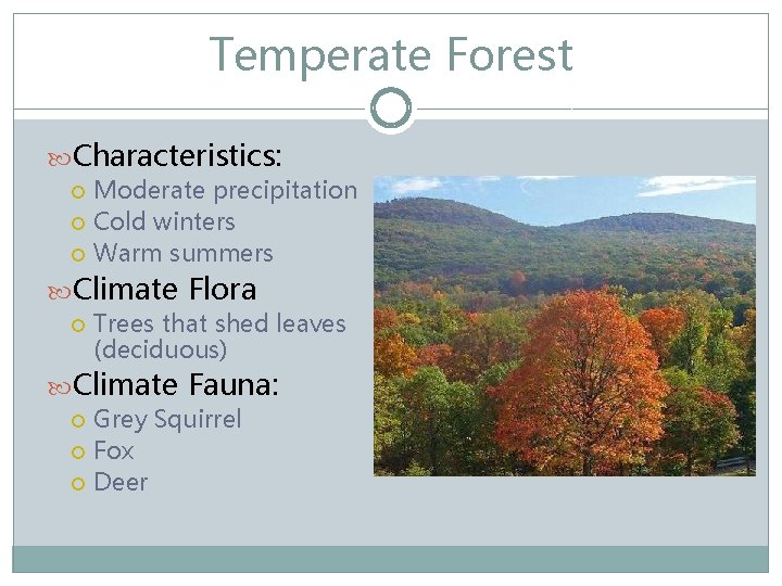 Temperate Forest Characteristics: Moderate precipitation Cold winters Warm summers Climate Flora Trees that shed