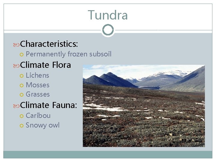 Tundra Characteristics: Permanently frozen subsoil Climate Flora Lichens Mosses Grasses Climate Fauna: Caribou Snowy