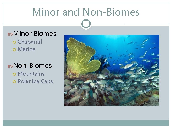 Minor and Non-Biomes Minor Biomes Chaparral Marine Non-Biomes Mountains Polar Ice Caps 