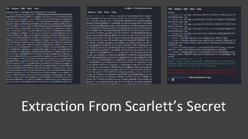 Extraction From Scarlett’s Secret 