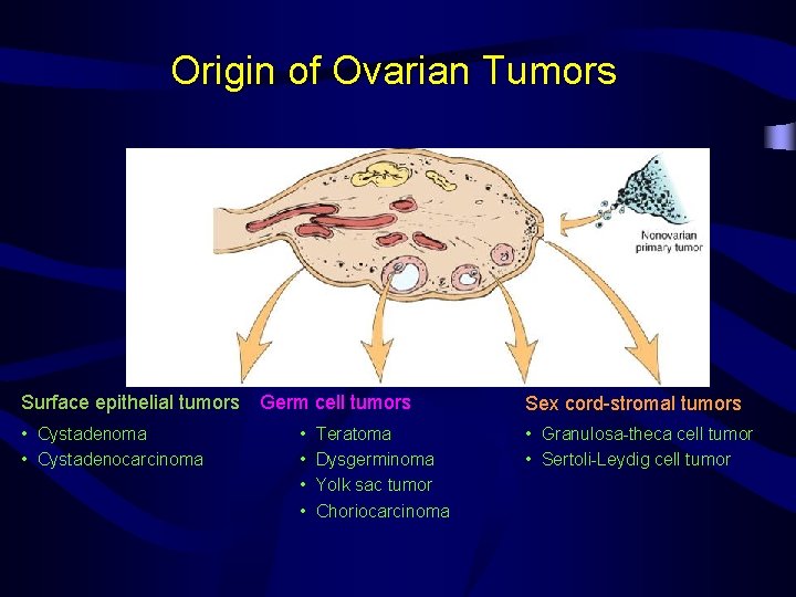 Origin of Ovarian Tumors Surface epithelial tumors Germ cell tumors Sex cord-stromal tumors •