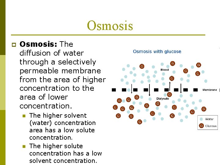 Osmosis p Osmosis: The diffusion of water through a selectively permeable membrane from the