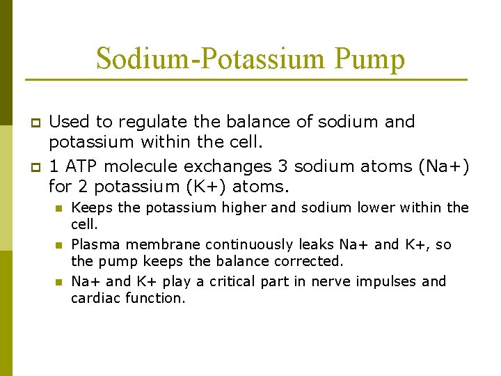 Sodium-Potassium Pump p p Used to regulate the balance of sodium and potassium within