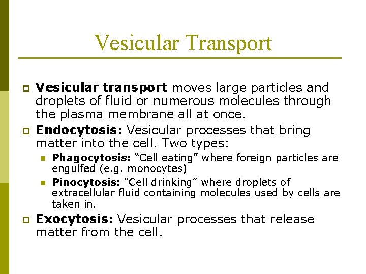 Vesicular Transport p p Vesicular transport moves large particles and droplets of fluid or