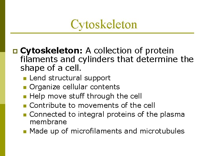 Cytoskeleton p Cytoskeleton: A collection of protein filaments and cylinders that determine the shape