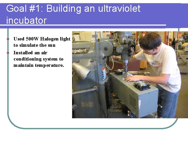Goal #1: Building an ultraviolet incubator Used 500 W Halogen light to simulate the