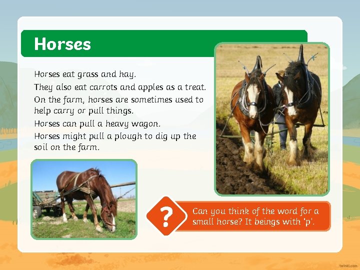 Horses eat grass and hay. They also eat carrots and apples as a treat.