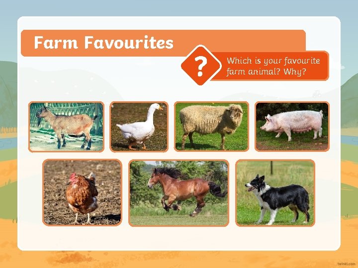 Farm Favourites ? Which is your favourite farm animal? Why? 