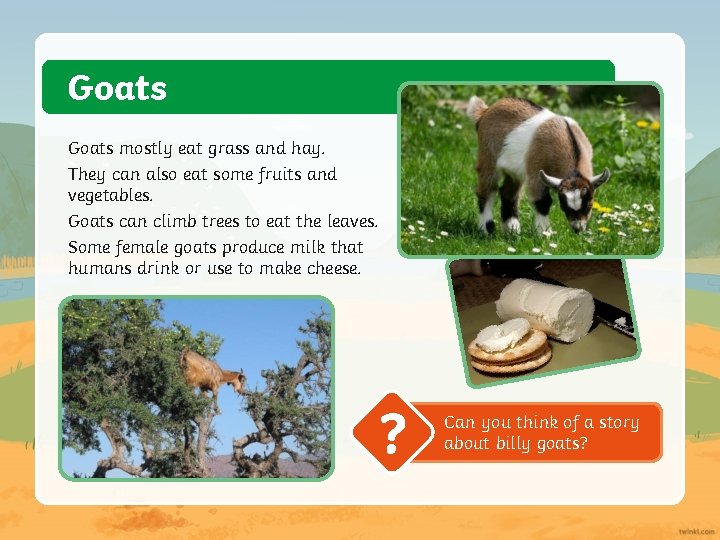 Goats mostly eat grass and hay. They can also eat some fruits and vegetables.
