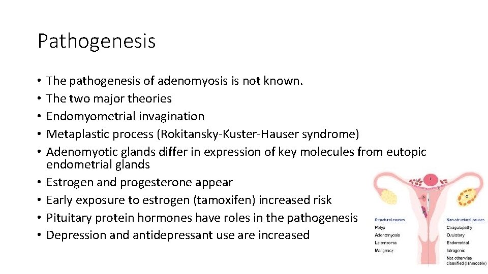 Pathogenesis • • • The pathogenesis of adenomyosis is not known. The two major