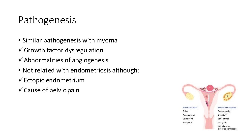 Pathogenesis • Similar pathogenesis with myoma üGrowth factor dysregulation üAbnormalities of angiogenesis • Not