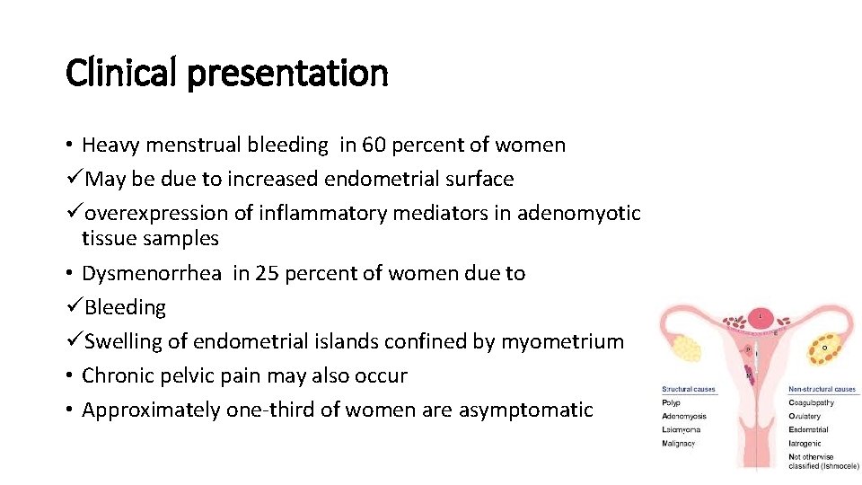 Clinical presentation • Heavy menstrual bleeding in 60 percent of women üMay be due