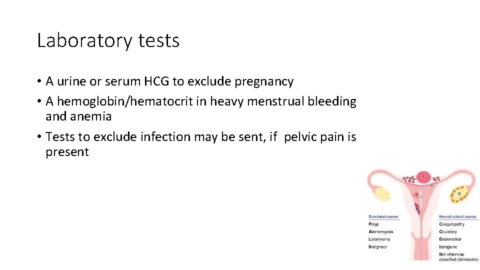 Laboratory tests • A urine or serum HCG to exclude pregnancy • A hemoglobin/hematocrit