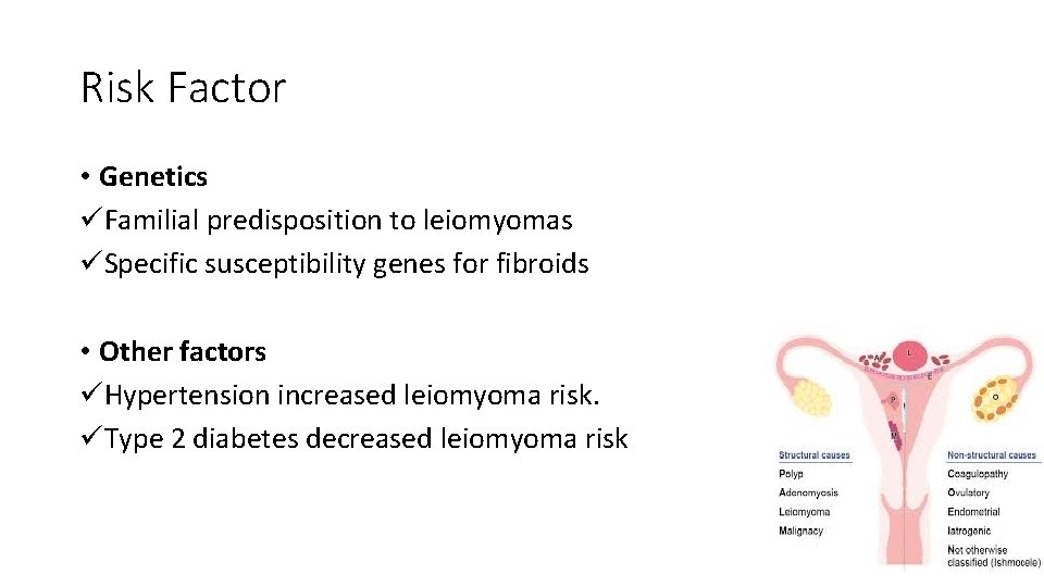 Risk Factor • Genetics üFamilial predisposition to leiomyomas üSpecific susceptibility genes for fibroids •