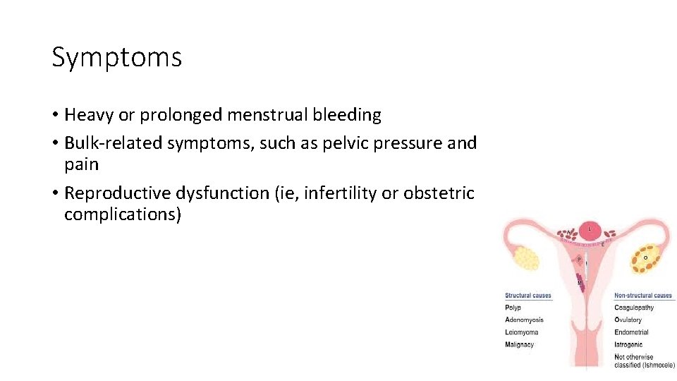 Symptoms • Heavy or prolonged menstrual bleeding • Bulk-related symptoms, such as pelvic pressure