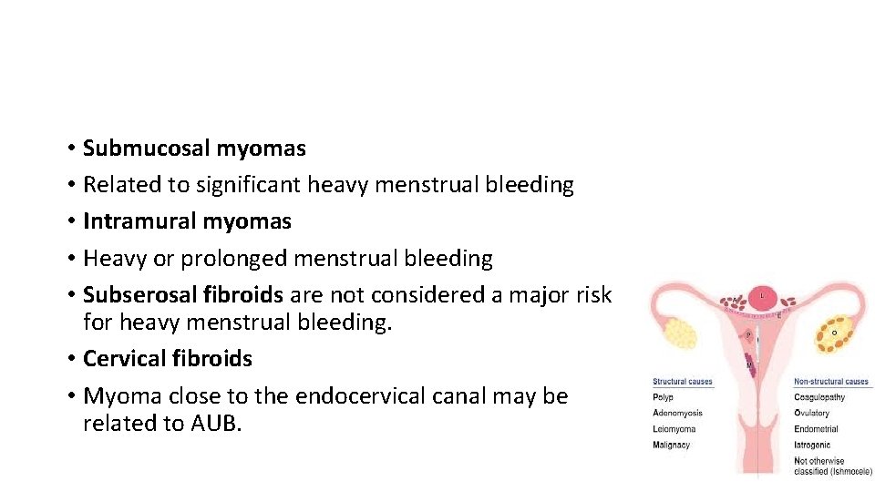  • Submucosal myomas • Related to significant heavy menstrual bleeding • Intramural myomas