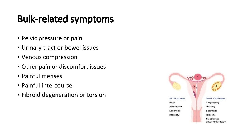 Bulk-related symptoms • Pelvic pressure or pain • Urinary tract or bowel issues •