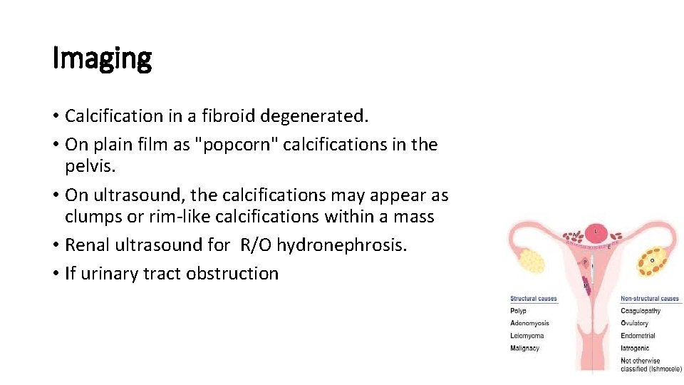 Imaging • Calcification in a fibroid degenerated. • On plain film as "popcorn" calcifications