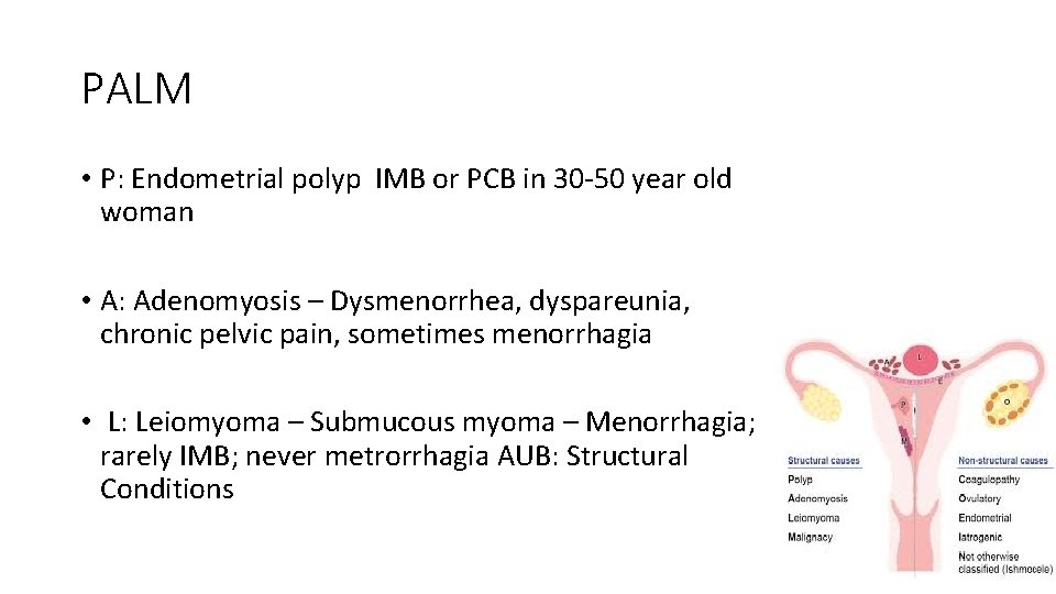 PALM • P: Endometrial polyp IMB or PCB in 30 -50 year old woman