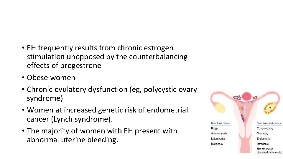  • EH frequently results from chronic estrogen stimulation unopposed by the counterbalancing effects