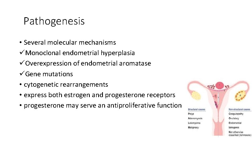 Pathogenesis • Several molecular mechanisms üMonoclonal endometrial hyperplasia üOverexpression of endometrial aromatase üGene mutations