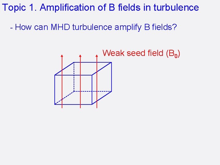 Topic 1. Amplification of B fields in turbulence - How can MHD turbulence amplify