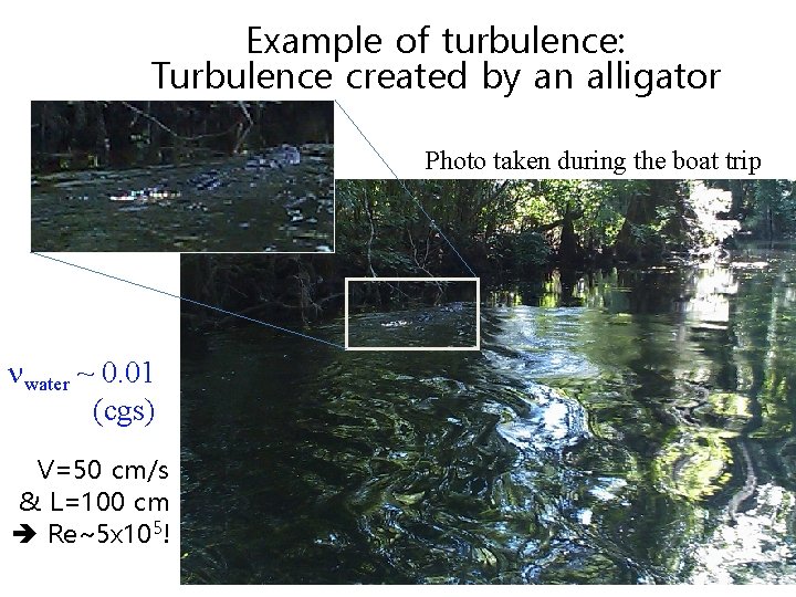 Example of turbulence: Turbulence created by an alligator Photo taken during the boat trip