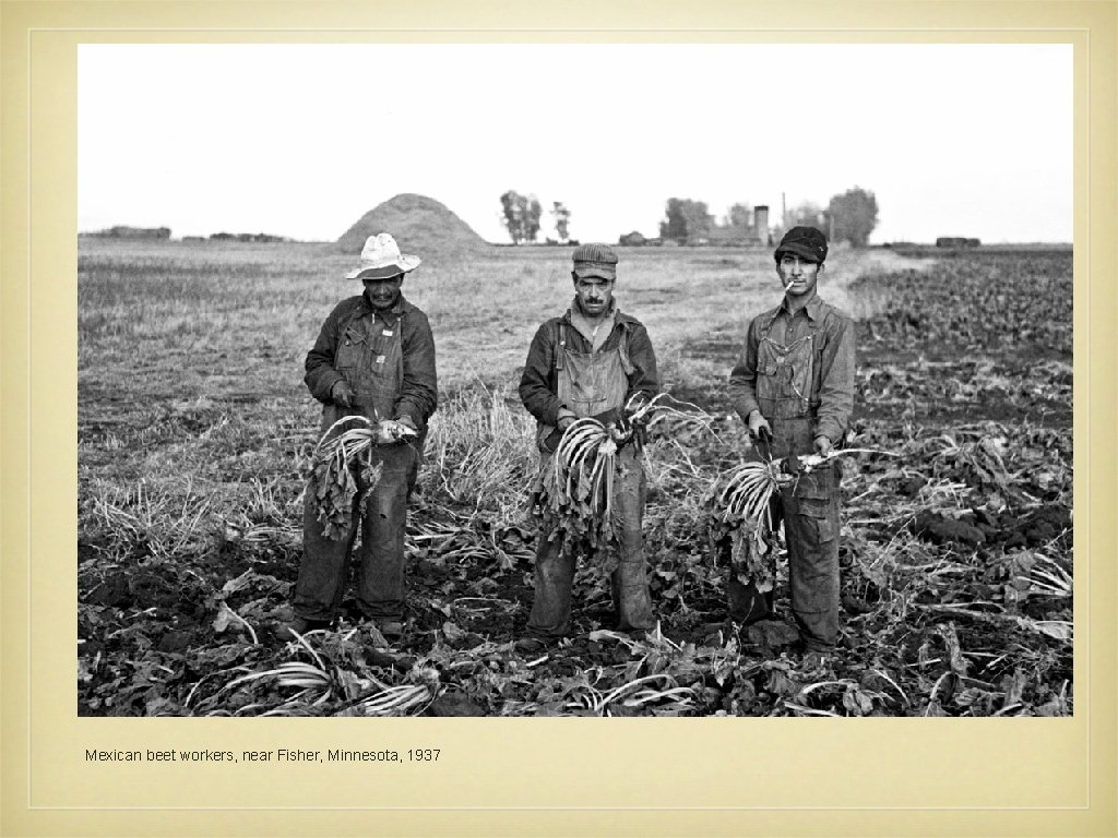 Mexican beet workers, near Fisher, Minnesota, 1937 