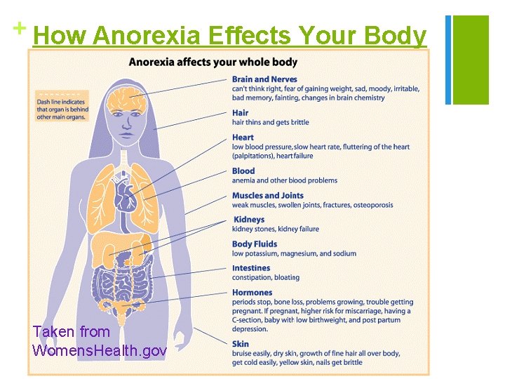 + How Anorexia Effects Your Body Taken from Womens. Health. gov 