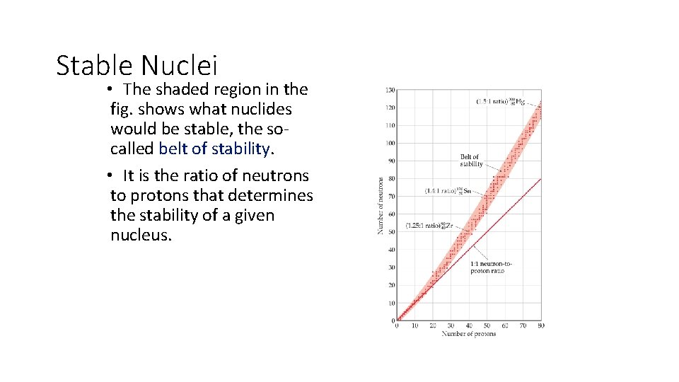 Stable Nuclei • The shaded region in the fig. shows what nuclides would be