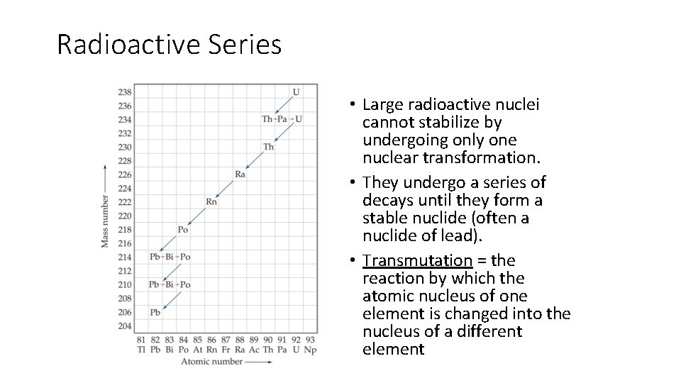 Radioactive Series • Large radioactive nuclei cannot stabilize by undergoing only one nuclear transformation.