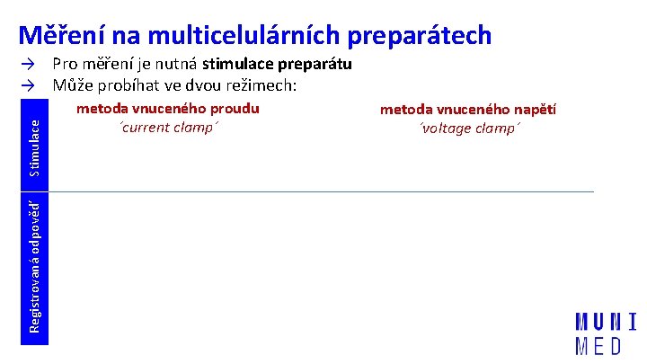 Měření na multicelulárních preparátech Registrovaná odpověď Stimulace → Pro měření je nutná stimulace preparátu
