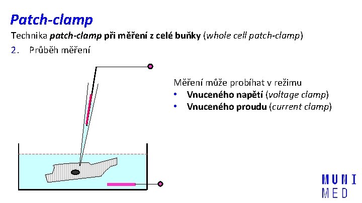 Patch-clamp Technika patch-clamp při měření z celé buňky (whole cell patch-clamp) 2. Průběh měření