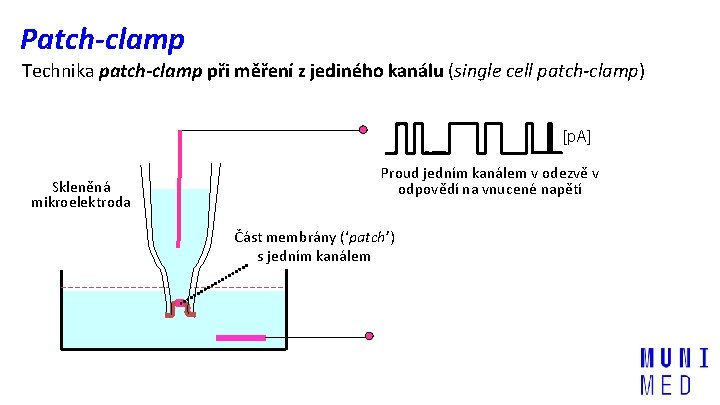 Patch-clamp Technika patch-clamp při měření z jediného kanálu (single cell patch-clamp) [p. A] Skleněná