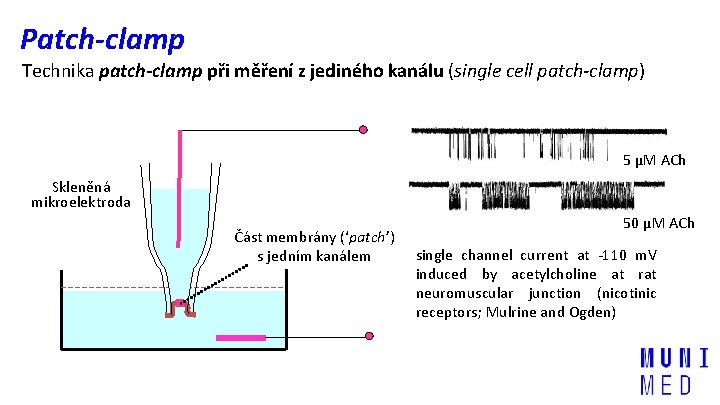 Patch-clamp Technika patch-clamp při měření z jediného kanálu (single cell patch-clamp) 5 µM ACh