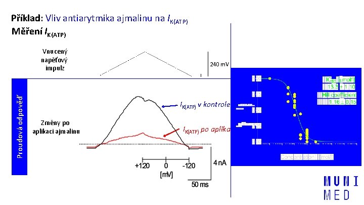 Příklad: Vliv antiarytmika ajmalinu na IK(ATP) Měření IK(ATP) Proudová odpověď Vnucený napěťový impulz Kontrola