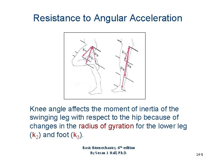 Resistance to Angular Acceleration k 1 k 2 k 3 k 1 k 3