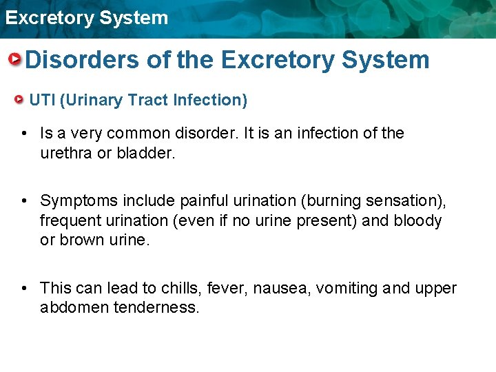 Excretory System Disorders of the Excretory System UTI (Urinary Tract Infection) • Is a Excretory System Disorders of the Excretory System UTI (Urinary Tract Infection) • Is a