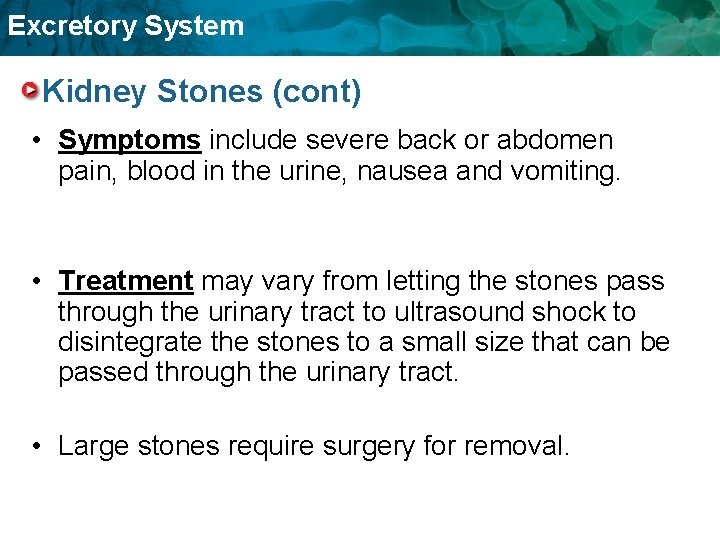 Excretory System Kidney Stones (cont) • Symptoms include severe back or abdomen pain, blood Excretory System Kidney Stones (cont) • Symptoms include severe back or abdomen pain, blood
