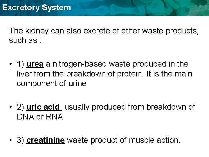 Excretory System The kidney can also excrete of other waste products, such as : Excretory System The kidney can also excrete of other waste products, such as :