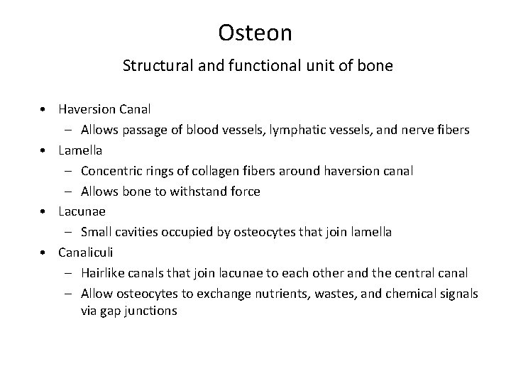 Osteon Structural and functional unit of bone • Haversion Canal – Allows passage of